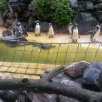 Kurs 12 Bi im Landauer Zoo 22.5.13