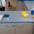 BASF Workshop 6/19