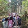 5. Klassen in Wolfstein 9/26